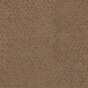 Кобра(каркас) Кобра(каркас)
