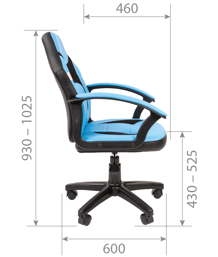 CHAIRMAN_110_11.jpg
